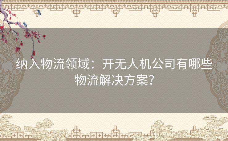纳入物流领域：开无人机公司有哪些物流解决方案？