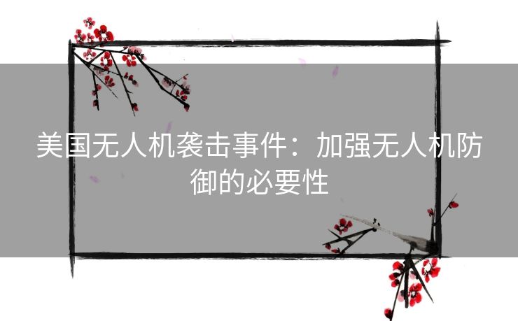 美国无人机袭击事件：加强无人机防御的必要性