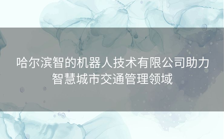 哈尔滨智的机器人技术有限公司助力智慧城市交通管理领域