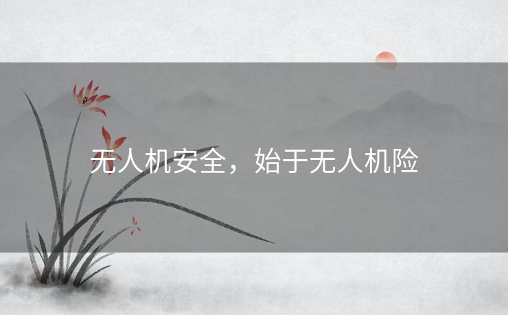 无人机安全，始于无人机险
