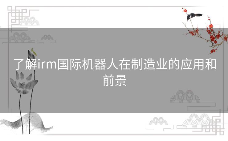 了解irm国际机器人在制造业的应用和前景