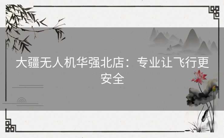 大疆无人机华强北店：专业让飞行更安全