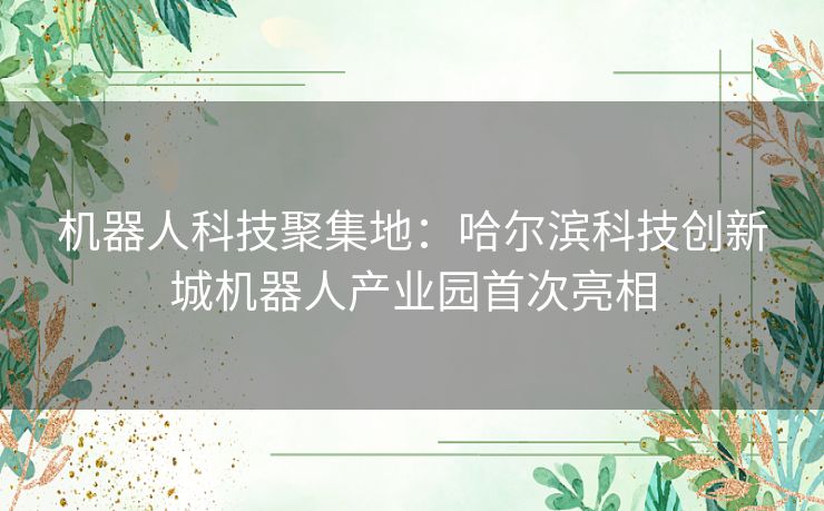 机器人科技聚集地：哈尔滨科技创新城机器人产业园首次亮相