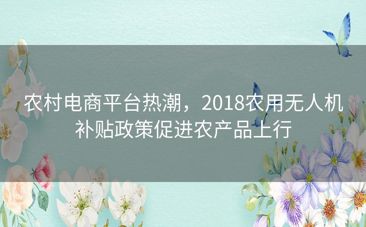 农村电商平台热潮，2018农用无人机补贴政策促进农产品上行