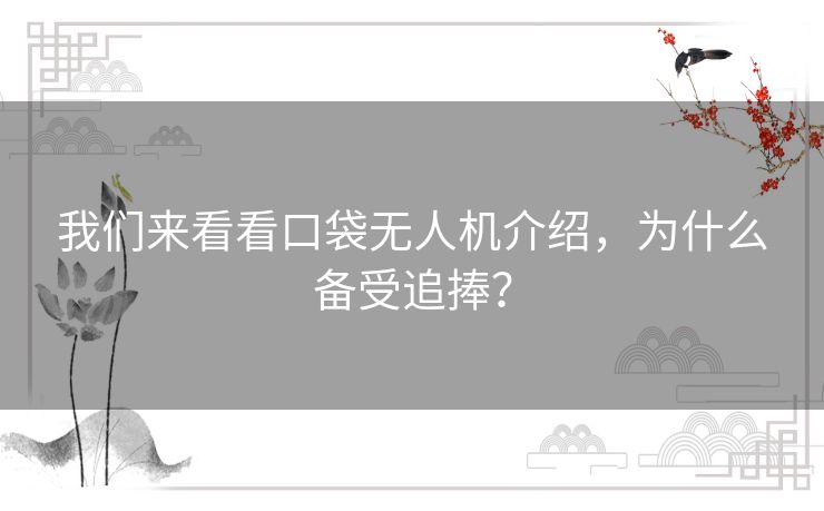 我们来看看口袋无人机介绍，为什么备受追捧？