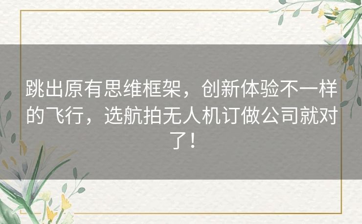 跳出原有思维框架，创新体验不一样的飞行，选航拍无人机订做公司就对了！
