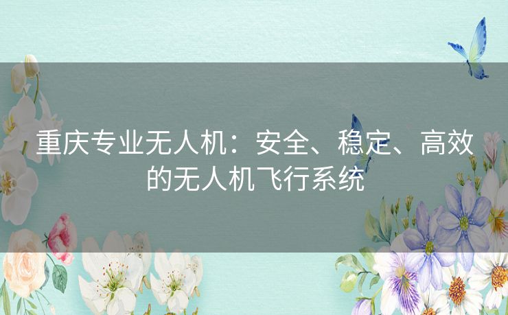 重庆专业无人机：安全、稳定、高效的无人机飞行系统
