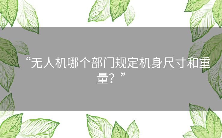 “无人机哪个部门规定机身尺寸和重量？”