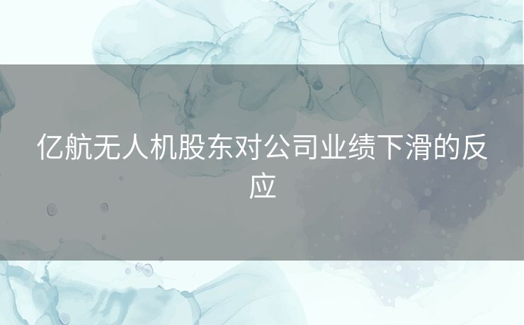 亿航无人机股东对公司业绩下滑的反应