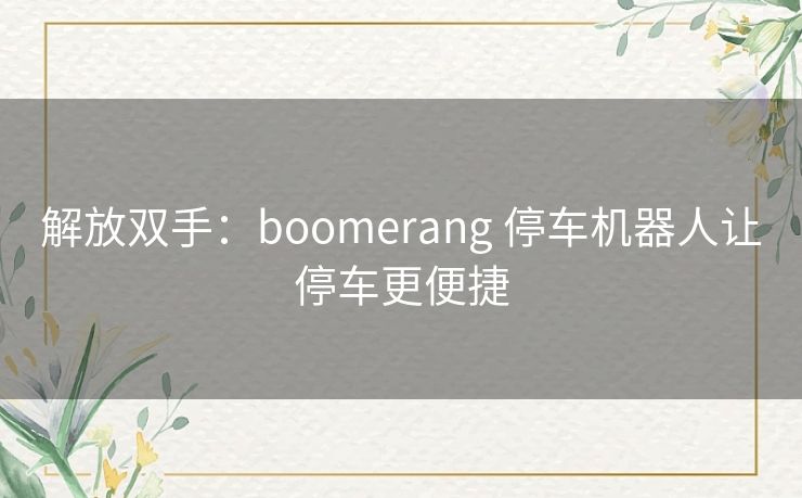解放双手：boomerang 停车机器人让停车更便捷