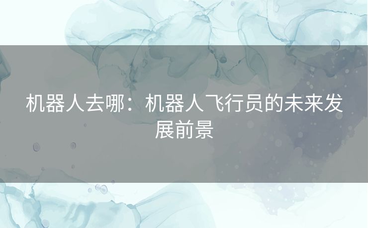 机器人去哪：机器人飞行员的未来发展前景