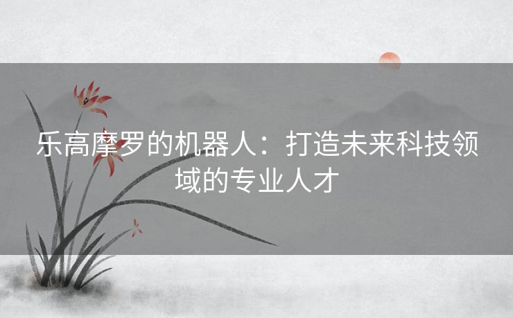 乐高摩罗的机器人：打造未来科技领域的专业人才