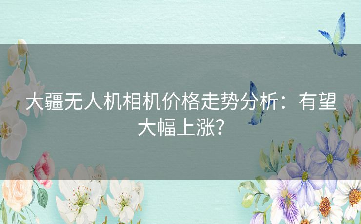 大疆无人机相机价格走势分析：有望大幅上涨？