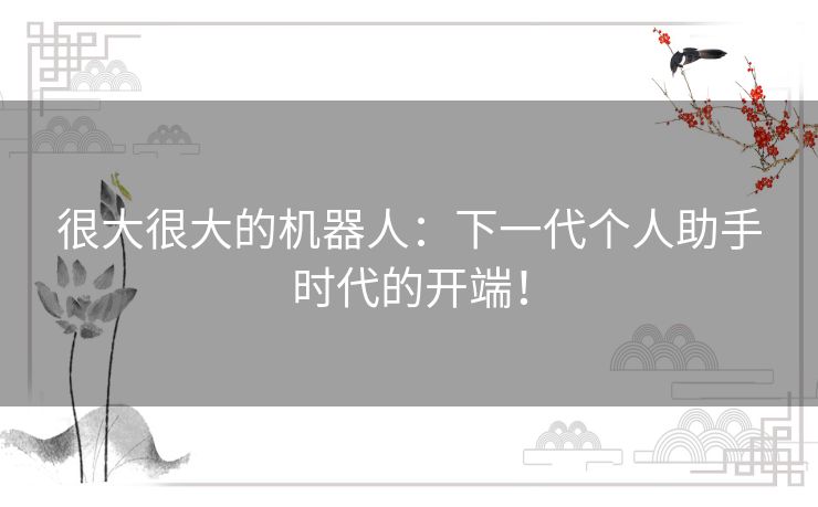 很大很大的机器人：下一代个人助手时代的开端！