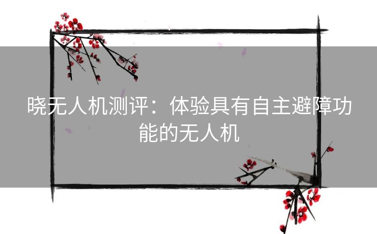 晓无人机测评：体验具有自主避障功能的无人机
