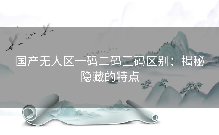 国产无人区一码二码三码区别：揭秘隐藏的特点