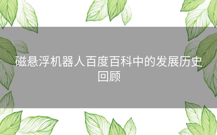 磁悬浮机器人百度百科中的发展历史回顾