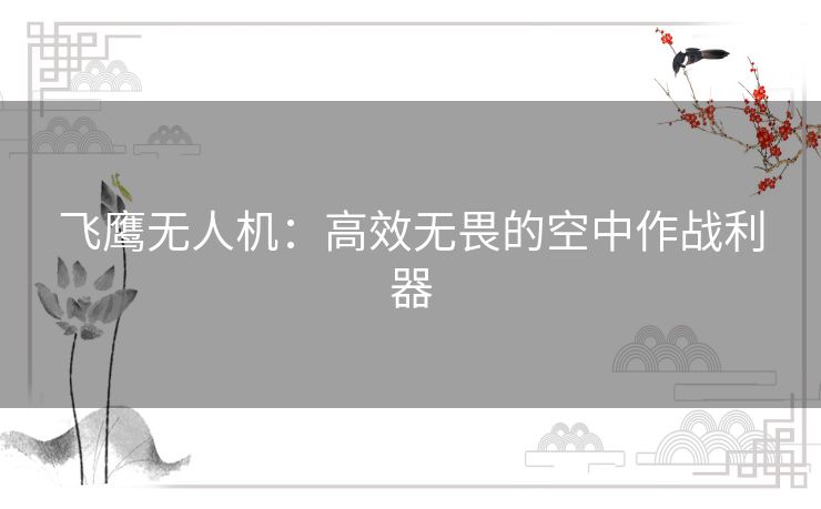 飞鹰无人机：高效无畏的空中作战利器
