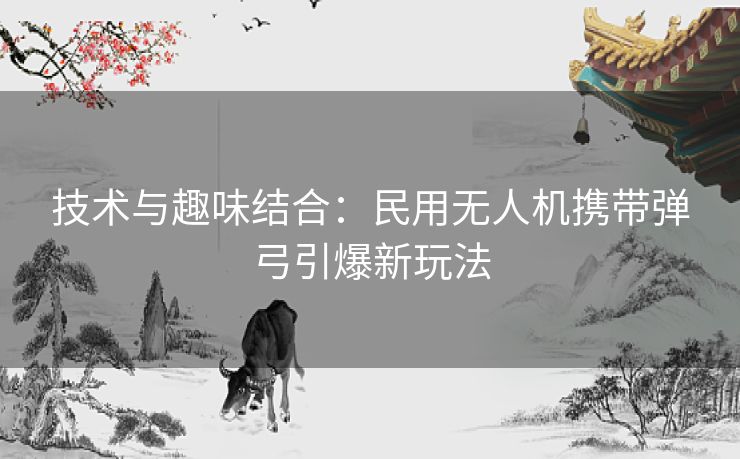 技术与趣味结合：民用无人机携带弹弓引爆新玩法