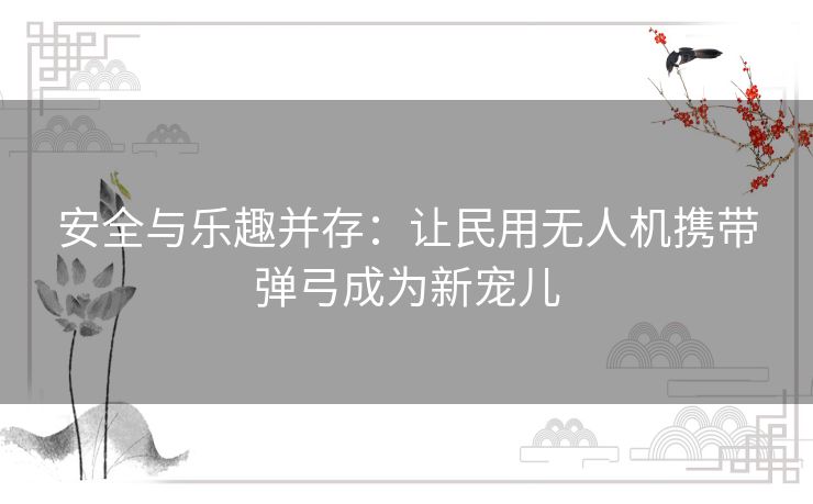 安全与乐趣并存：让民用无人机携带弹弓成为新宠儿