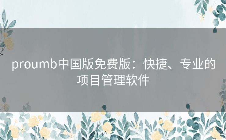 proumb中国版免费版：快捷、专业的项目管理软件