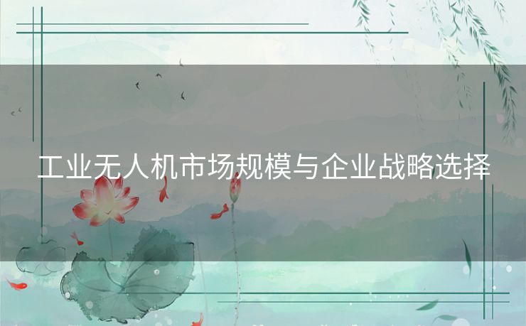 工业无人机市场规模与企业战略选择