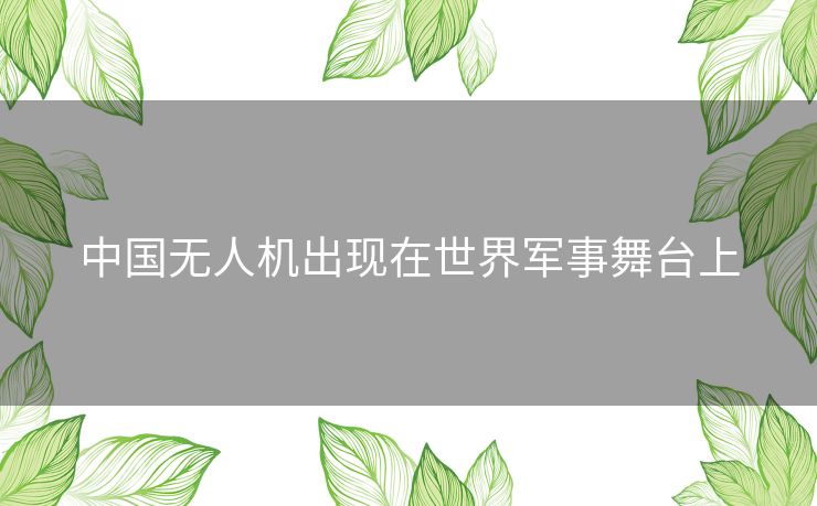 中国无人机出现在世界军事舞台上
