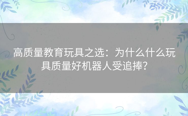 高质量教育玩具之选：为什么什么玩具质量好机器人受追捧？