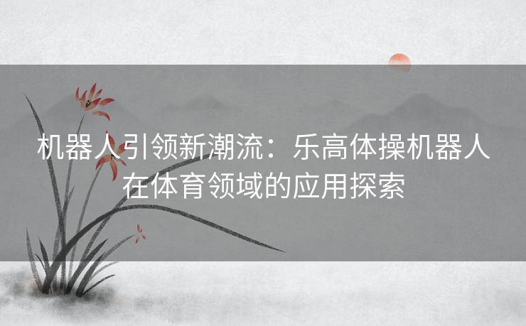机器人引领新潮流：乐高体操机器人在体育领域的应用探索