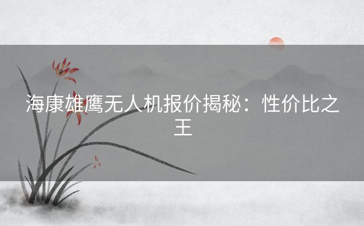 海康雄鹰无人机报价揭秘：性价比之王