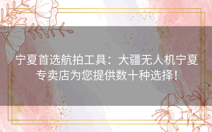 宁夏首选航拍工具：大疆无人机宁夏专卖店为您提供数十种选择！
