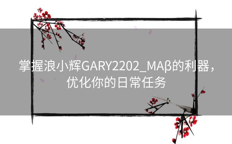 掌握浪小辉GARY2202_MAβ的利器，优化你的日常任务