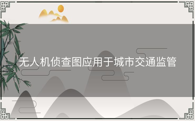 无人机侦查图应用于城市交通监管