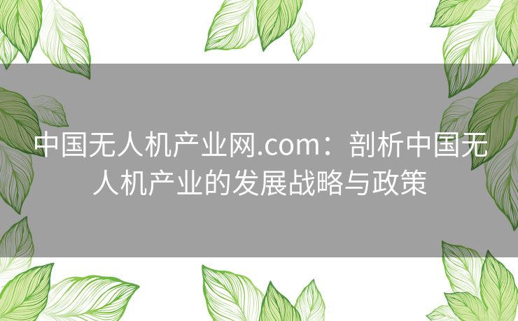 中国无人机产业网.com：剖析中国无人机产业的发展战略与政策