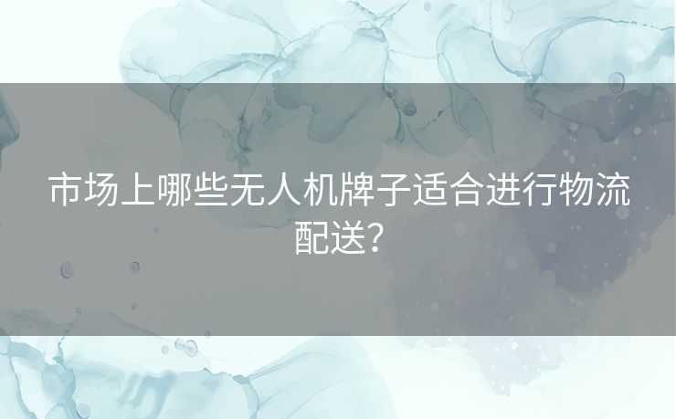 市场上哪些无人机牌子适合进行物流配送？