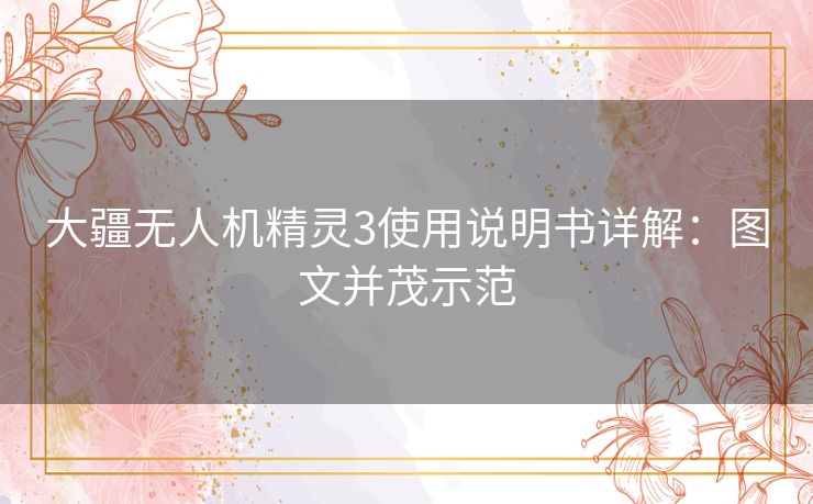 大疆无人机精灵3使用说明书详解：图文并茂示范