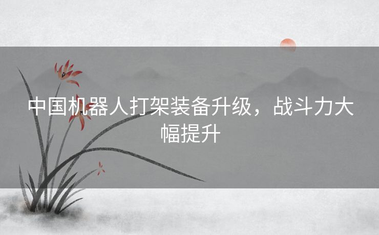 中国机器人打架装备升级，战斗力大幅提升