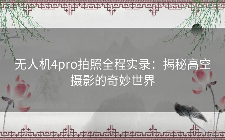 无人机4pro拍照全程实录：揭秘高空摄影的奇妙世界