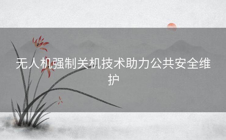 无人机强制关机技术助力公共安全维护