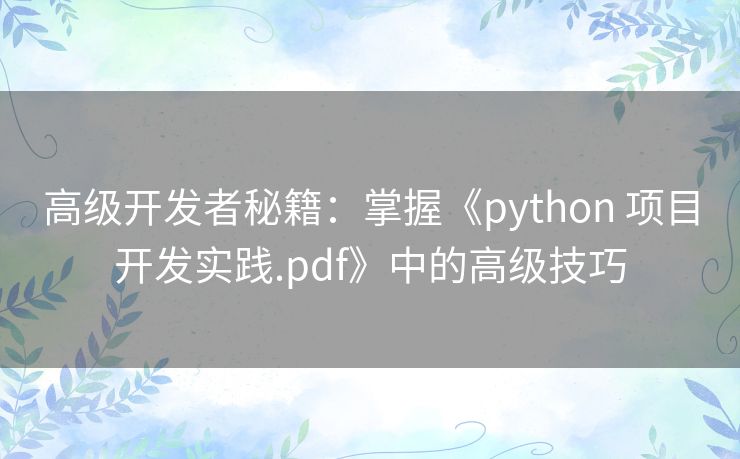 高级开发者秘籍：掌握《python 项目开发实践.pdf》中的高级技巧