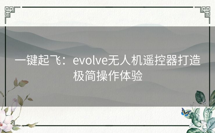 一键起飞：evolve无人机遥控器打造极简操作体验
