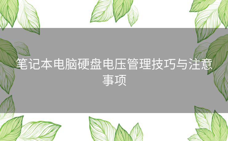 笔记本电脑硬盘电压管理技巧与注意事项