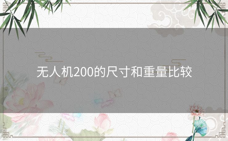 无人机200的尺寸和重量比较