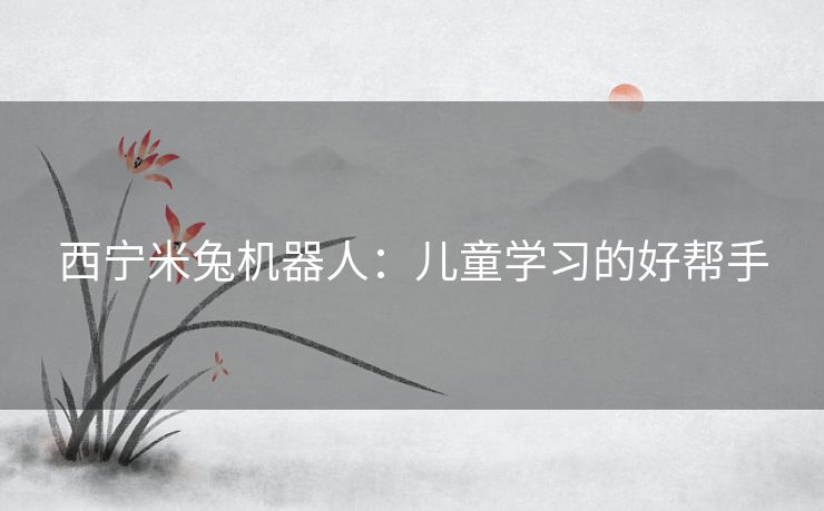 西宁米兔机器人：儿童学习的好帮手