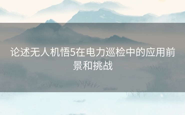 论述无人机悟5在电力巡检中的应用前景和挑战