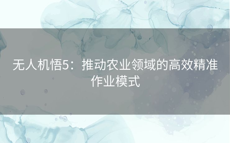 无人机悟5：推动农业领域的高效精准作业模式