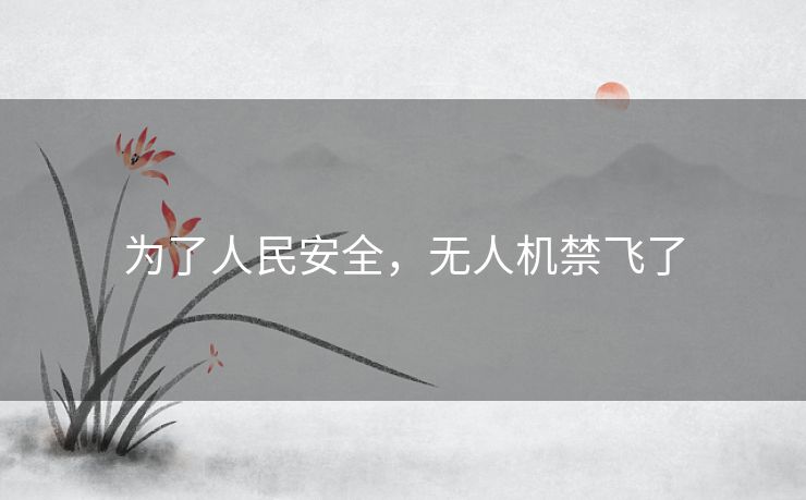 为了人民安全，无人机禁飞了