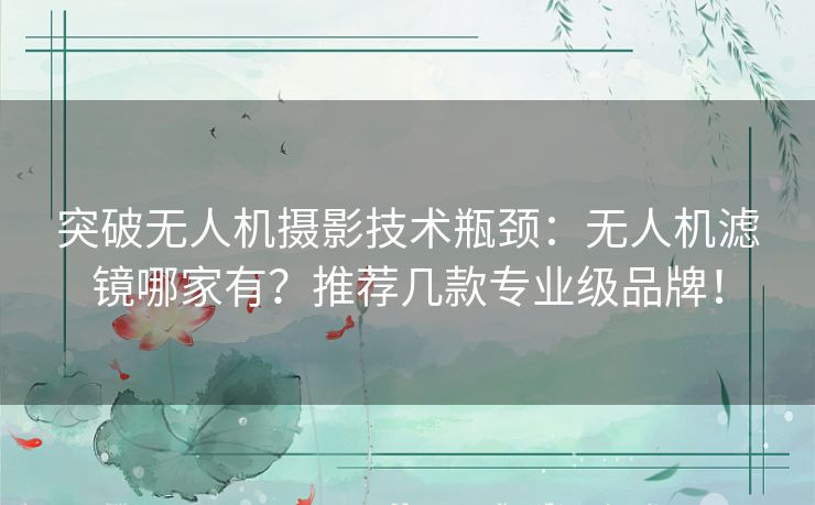 突破无人机摄影技术瓶颈：无人机滤镜哪家有？推荐几款专业级品牌！