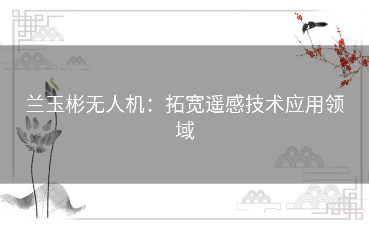兰玉彬无人机：拓宽遥感技术应用领域