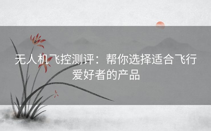 无人机飞控测评：帮你选择适合飞行爱好者的产品
